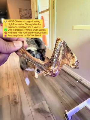 TikTok post by @fatty_snacks for King Lou. Caption reads: [...] deserve a spot in the treat stash 👀🐶 @King....