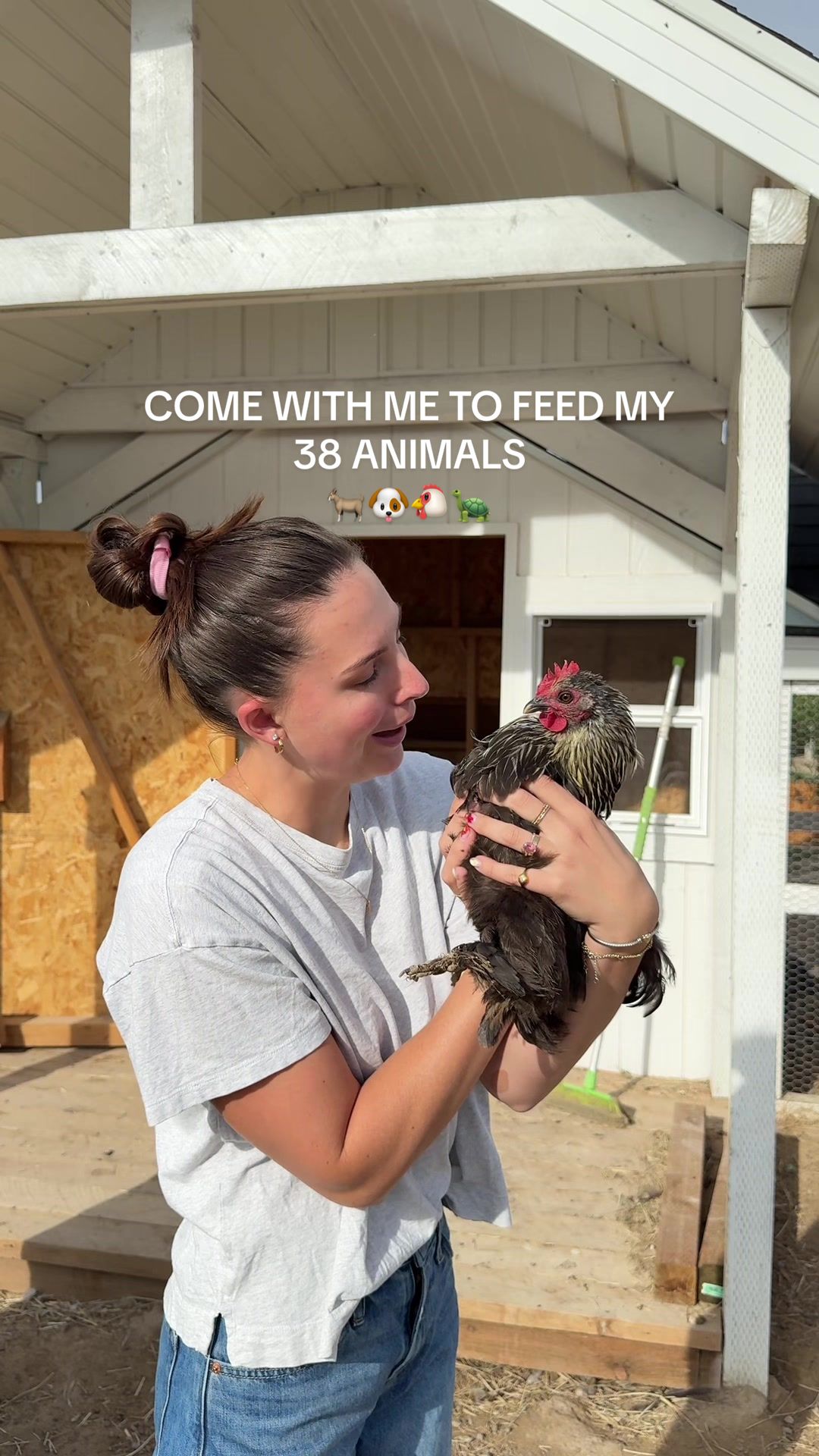 TikTok post by @kimberlyoconnell for Open Farm Pet. Caption reads: Louie is eating like a queen! She’s been loving....