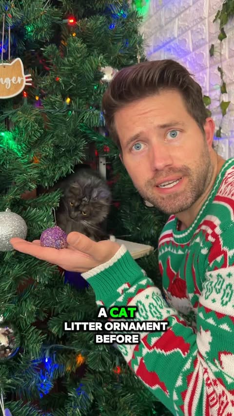 Instagram post by an influencer for Catalyst. Caption reads: [...] Thanks for saving Christmas @catalystpet 🤣.....