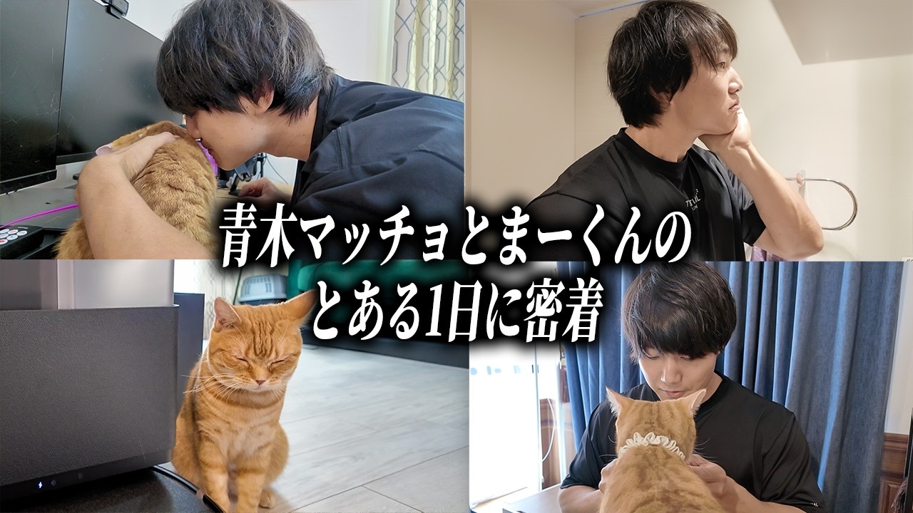 YouTube post by @孤独のマッチョ for nosh. Caption reads: ───────────────── 🎁nosh x Kodoku no Maccho....