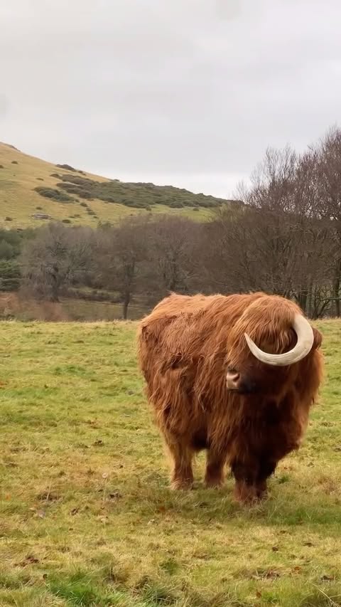 Instagram post by @erindougal for Tripadvisor. Caption reads: already yearning to go back @tripadvisor....