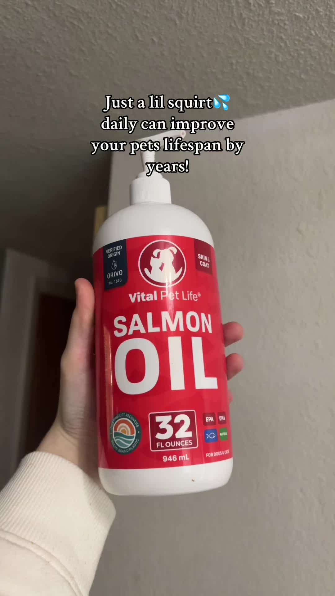 TikTok post by @bpdbaddie.com for Vital Pet Life. Caption reads: she be spoiled or whateva😛 @Vital Pet Life....