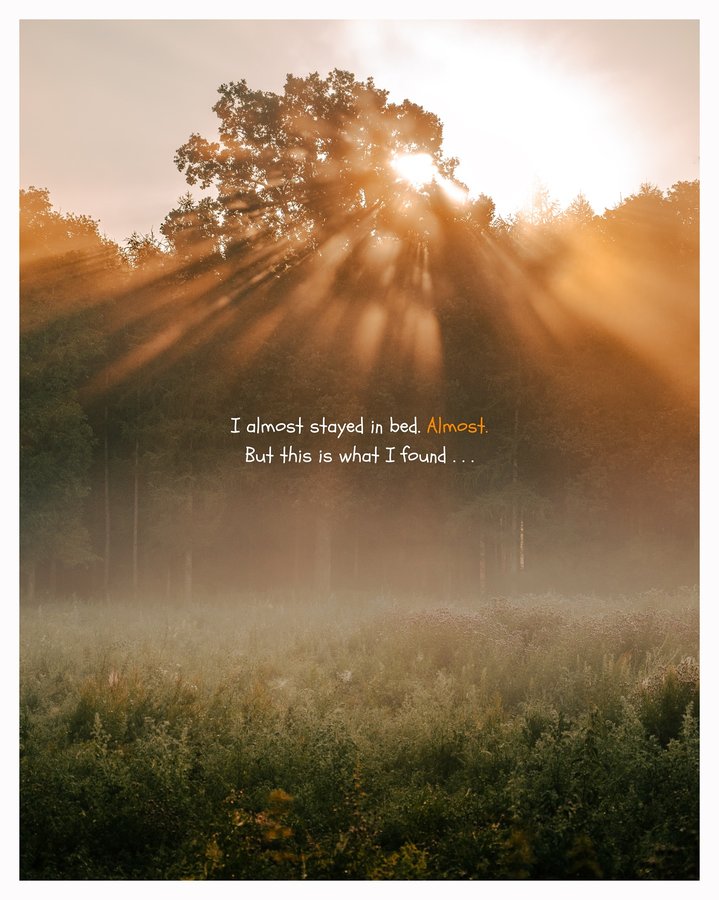 Instagram post by @ogik_jatmiko for Nikon DACH. Caption reads: I didn’t go to the forest looking for anything.
No....