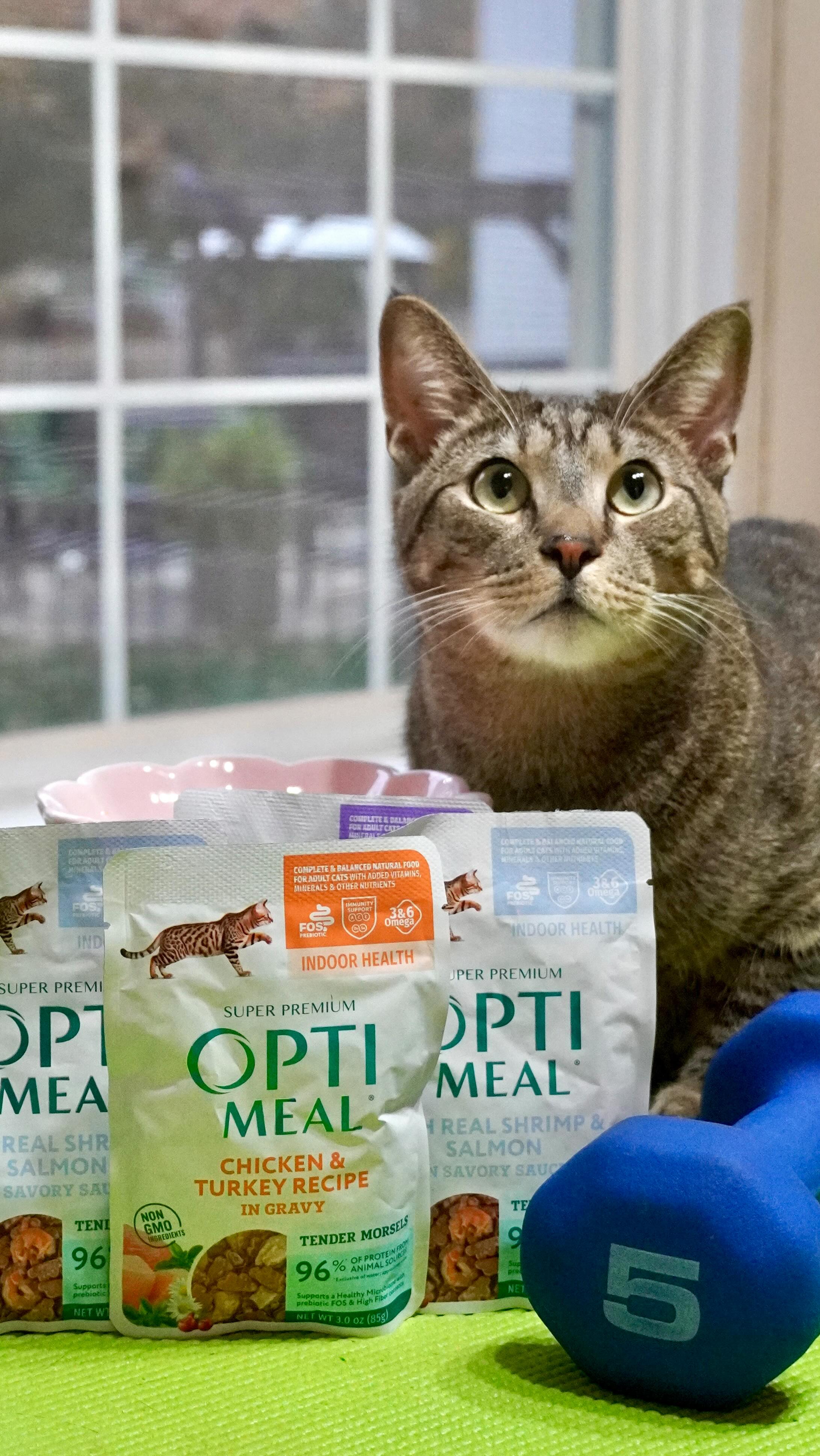 Instagram post by @meeloandmina for Optimeal. Caption reads: Optimeal is my cat’s go-to food after a long [...].