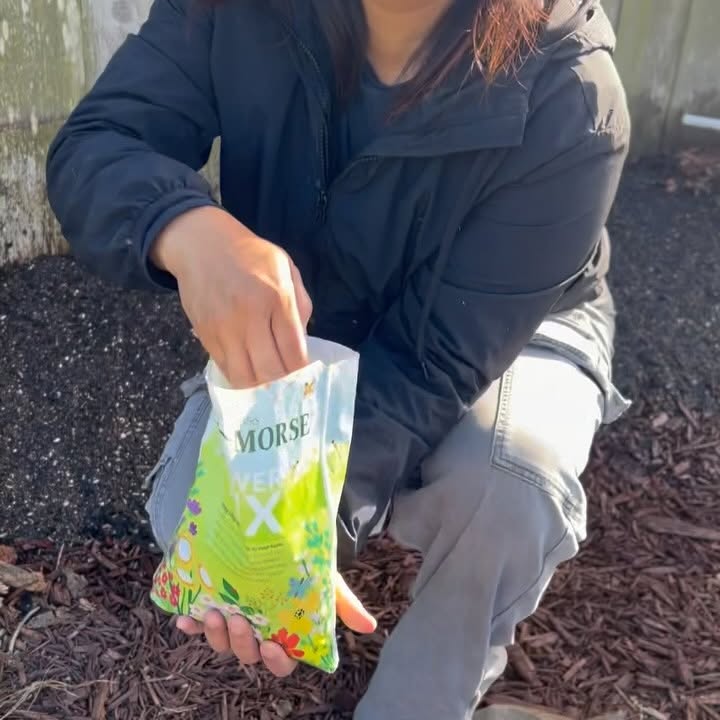 Instagram post by @theloveforgardening for Ferry-Morse. Caption reads: [...] 😊 This mix of wildflower seeds from....