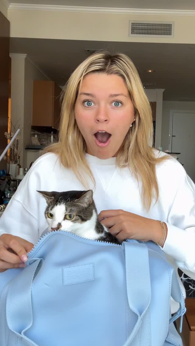 Instagram post by @gabbyygonz for Dagne Dover. Caption reads: i will be using this to bring my cat to the keys....