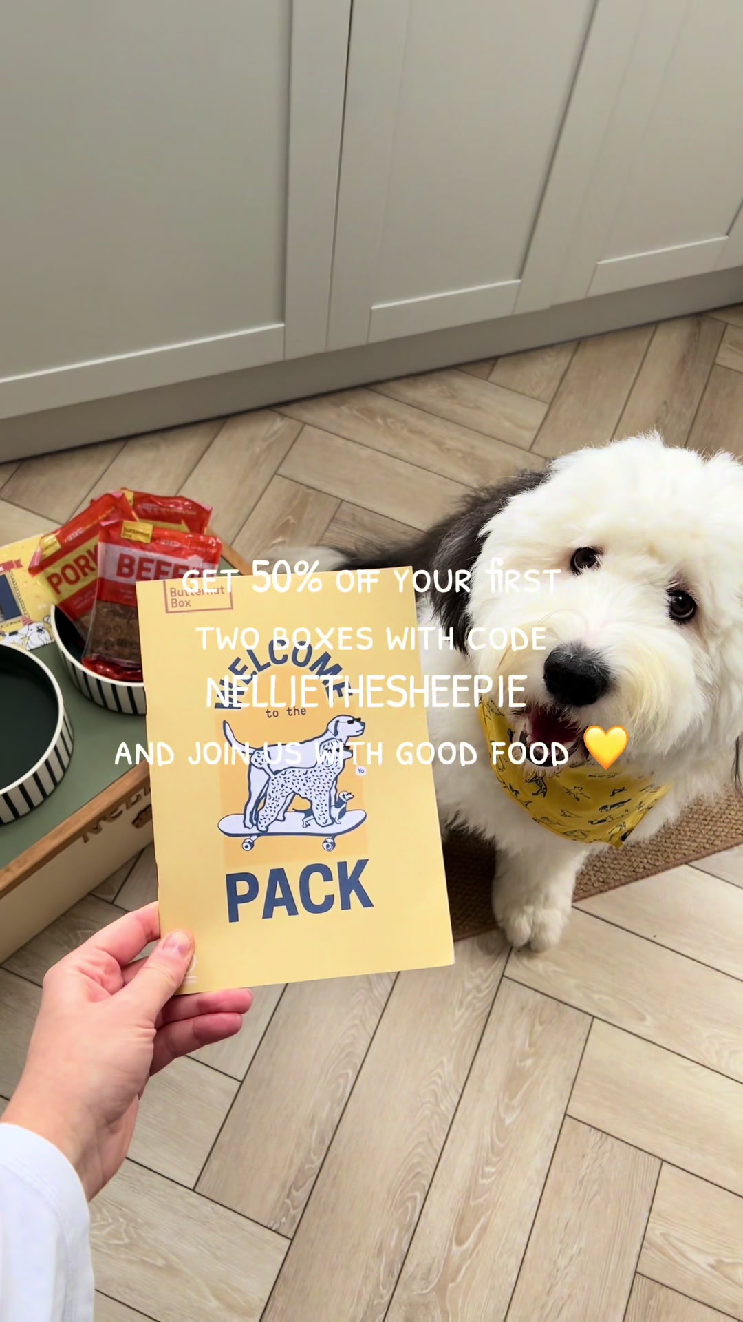 TikTok post by @nelliethesheepie for Butternut Box. Caption reads: [...] to us. We've been testing out @Butternut Box....