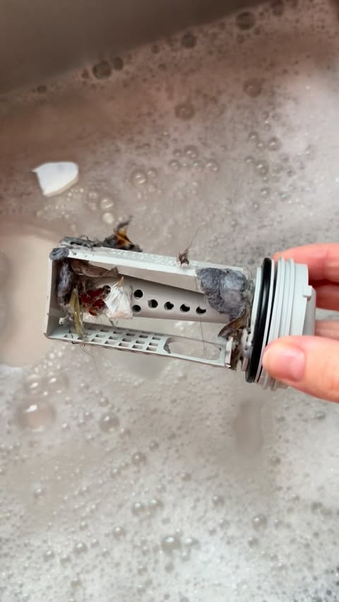 Instagram post by @hall_at_home for Minky Homecare. Caption reads: The filter…🤢😱

It STANK!!!! Obviously I had left....