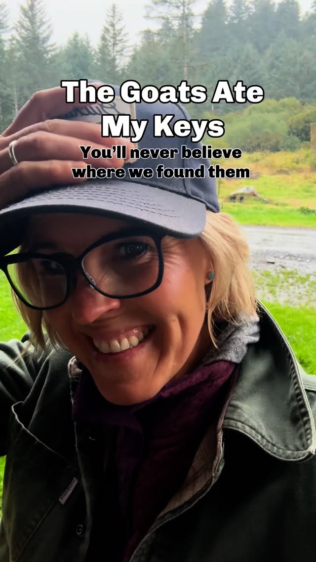 Instagram post by @kodiakgoatdairy for Life360. Caption reads: I invested in one of those tiles from @life360....