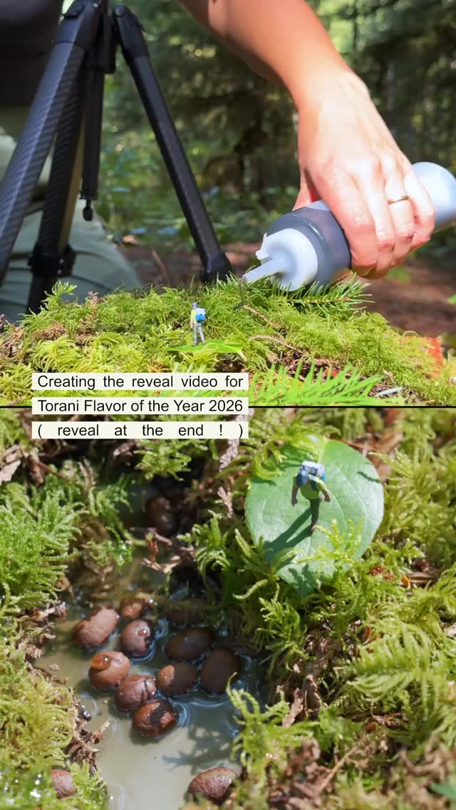 Instagram post by @erinoutdoors for Torani. Caption reads: Behind the making of Forest Pine World 🌲🍂 The....