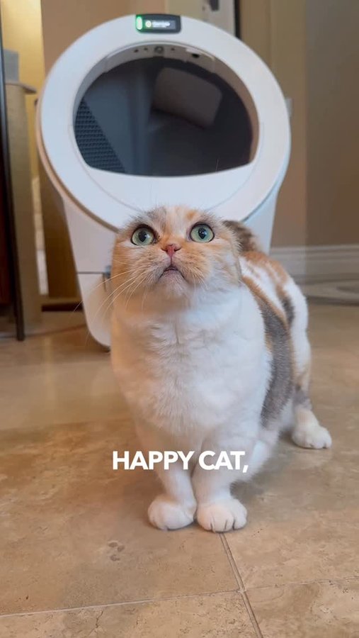 Instagram post by @hello_luna_rose for Litter-Robot. Caption reads: Luna here 🐾 and guess what? My bathroom just got....