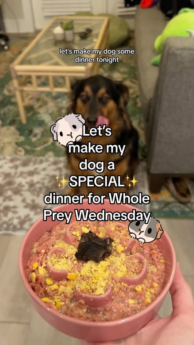 Instagram post by @kitwithfood for Viva Raw. Caption reads: [...] to oblige 😳🐹 ✨WHAT’S FOR DINNER?✨....