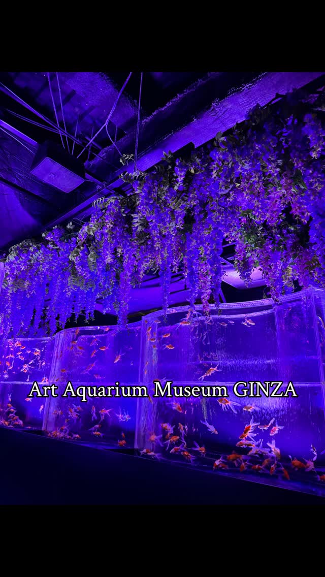 Instagram post by @juos_japanese for ARTAQUARIUM. Caption reads: [...] breathtaking seasonal showcase! #PR....