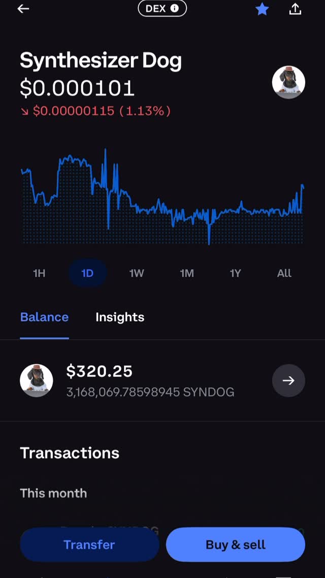 Instagram post by @swagdog697 for Coinbase. Caption reads: Great day for some $SYNDOG @coinbase #memecoins....
