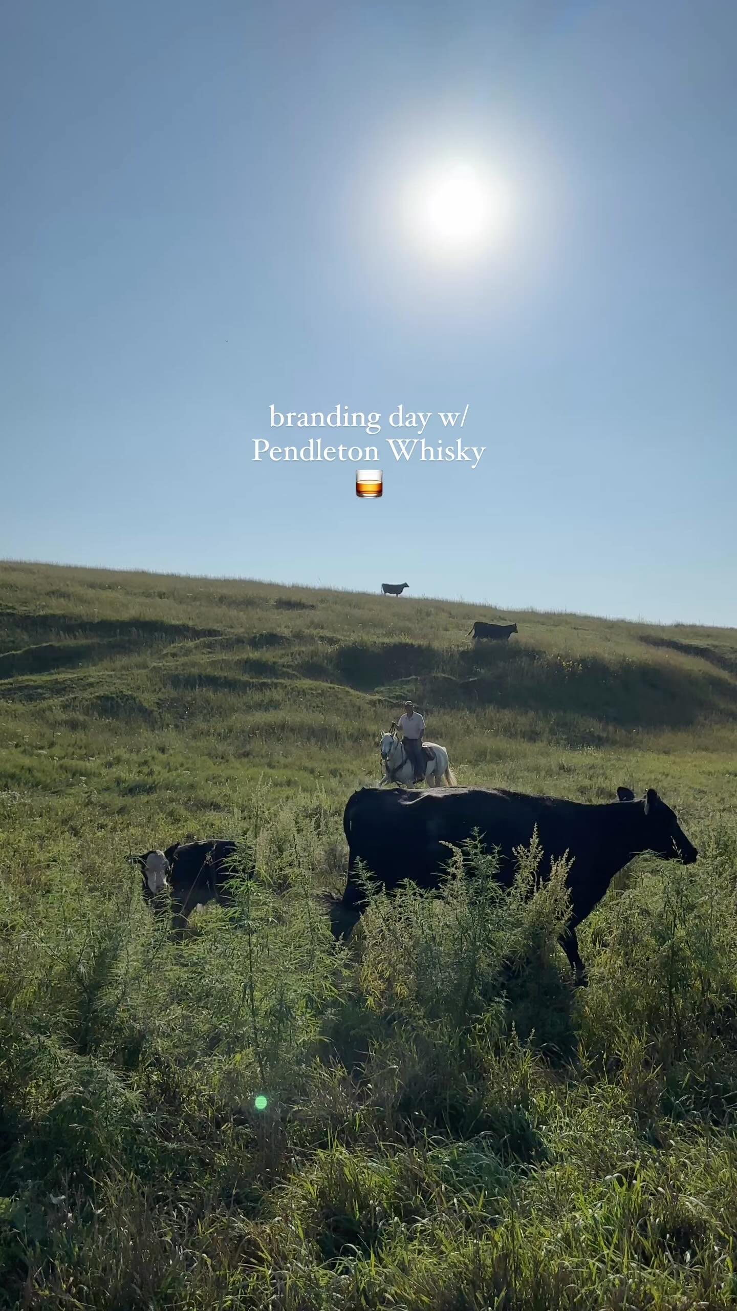 Instagram post by @nataliekovarik for Pendleton Whisky. Caption reads: It’s not just poured, it’s earned.
 
Branding is....