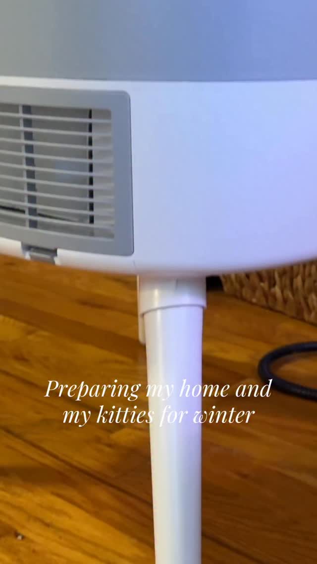 Instagram post by @girlsandtheircats for Homerunpet. Caption reads: [...] cozy this winter season with the....