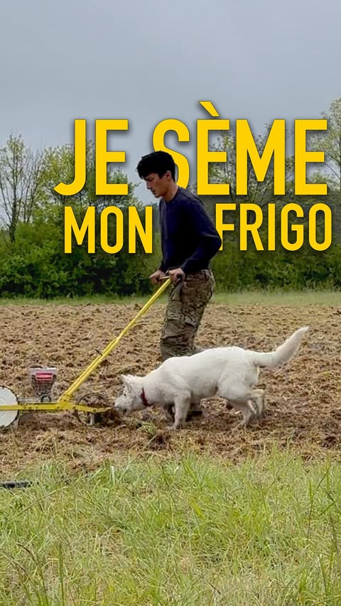 Instagram post by @jigme for Gamm vert. Caption reads: Ce mois-ci, on fête le retour au jardin, et pour....