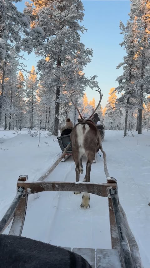 Instagram post by @hollyjai for Cliphair. Caption reads: Christmas hair inspo♥️✨
@cliphairlimited....