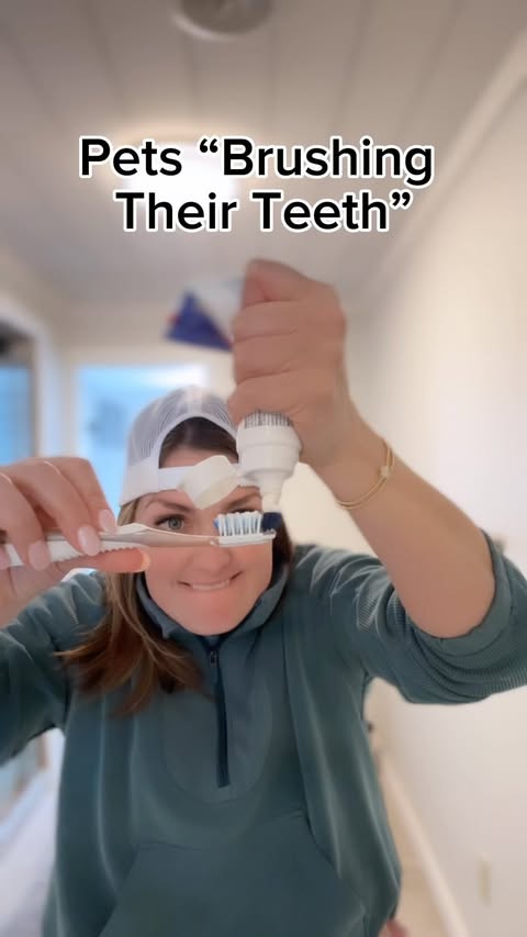 Instagram post by @drmollysays for VetriScience. Caption reads: [...] can be hard to find. Perio Support by....