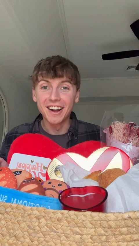 Instagram post by @alexquist_ for What Do You Meme. Caption reads: I found the perfect @emotionalsupport plushies for....