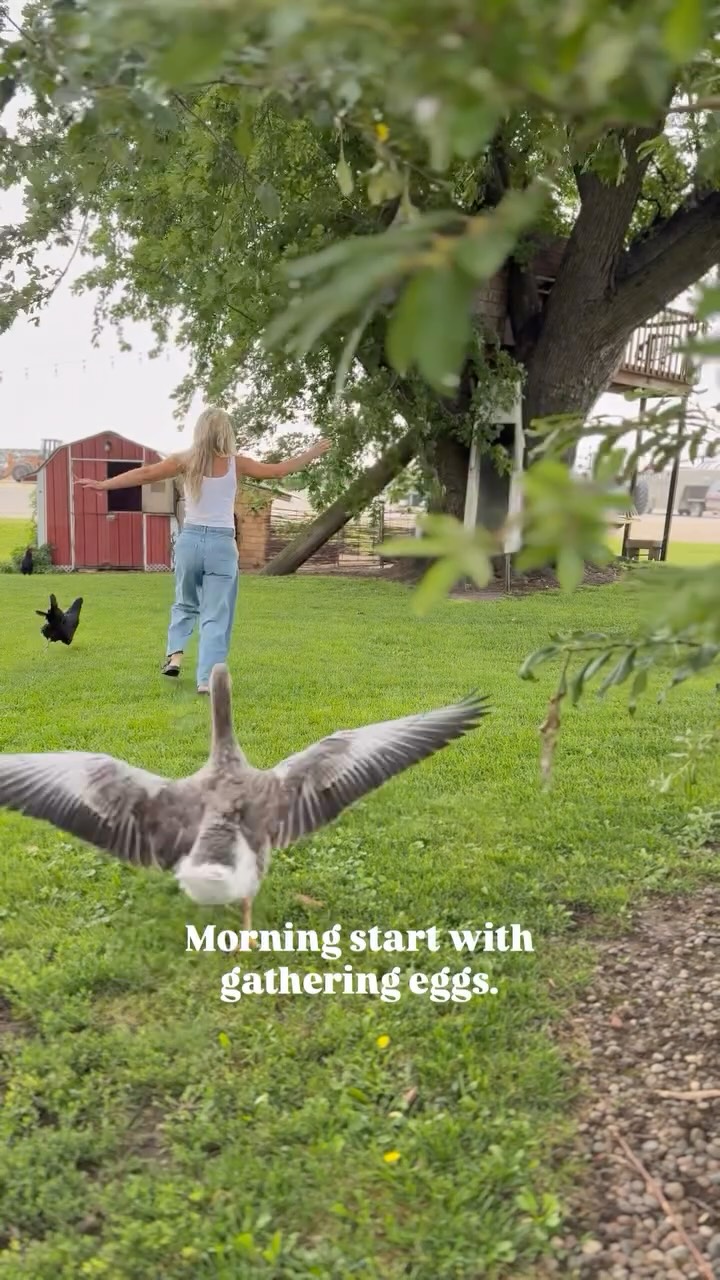 Instagram post by @hearty.sol for Dickies. Caption reads: [...] scored the new Tradebuilt Pants from....