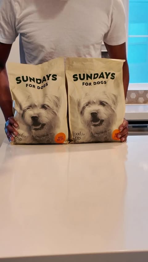Instagram post by @kendallkyndall for Sundays for Dogs. Caption reads: [...] dogs are eating the same dog food.....