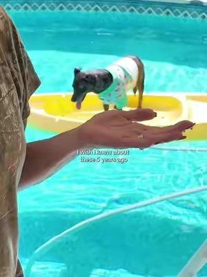 TikTok post by @gpsfunnyfarm for Poolhacker. Caption reads: This winterization kit by @Poolhacker_official is....