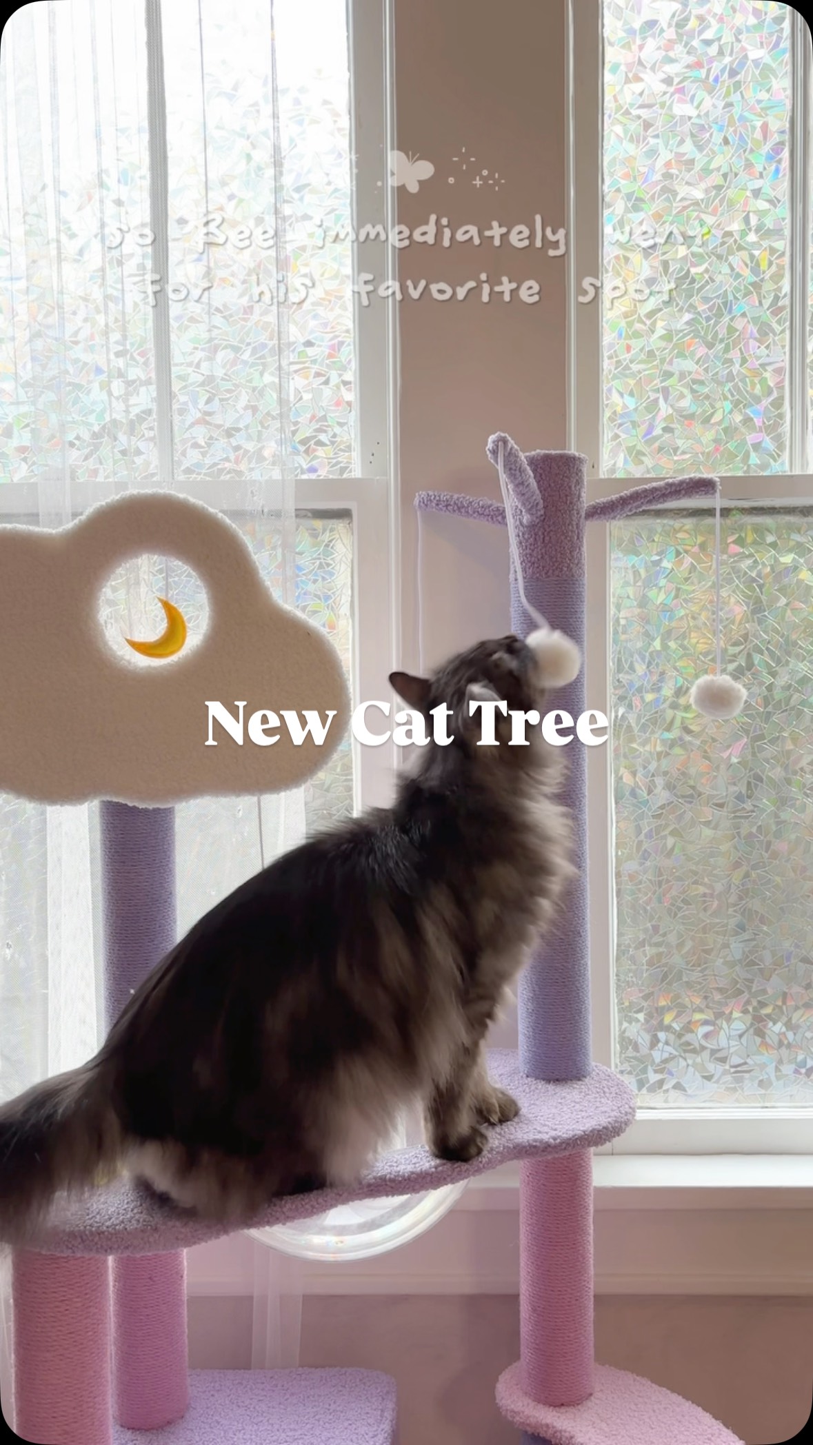 Instagram post by @nhonsworld for Happy & Polly. Caption reads: [...] bedroom so well! Bee loves it 🥰

(Happy &....