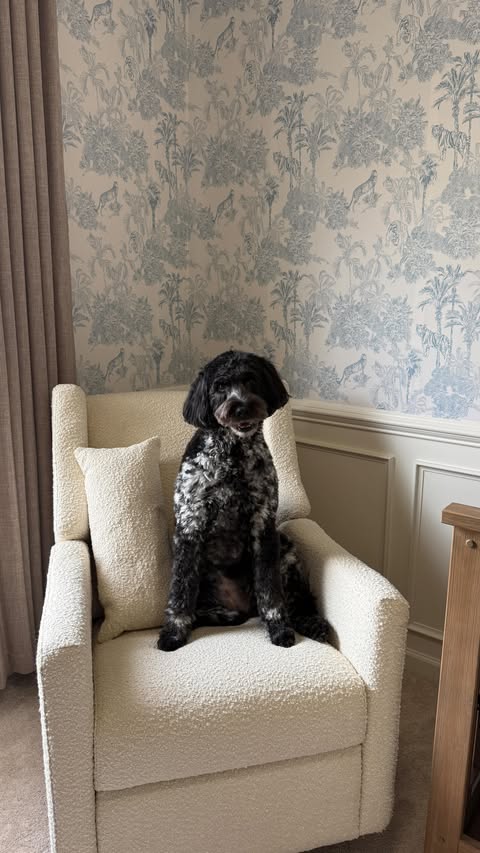 Instagram post by @carly.monzo for Babylist. Caption reads: [...] I’m grateful this part felt simple 🤍....