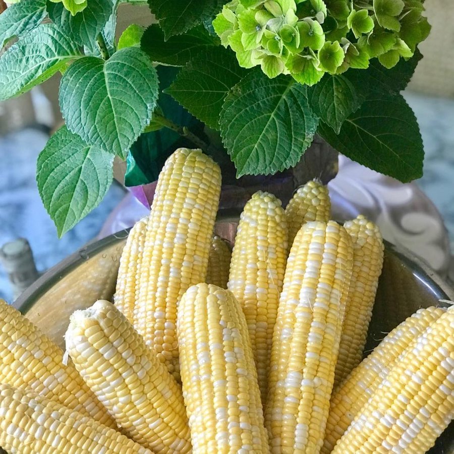 Instagram post by @cristinacooks for NYT Cooking. Caption reads: Corn is available everywhere and the season is....
