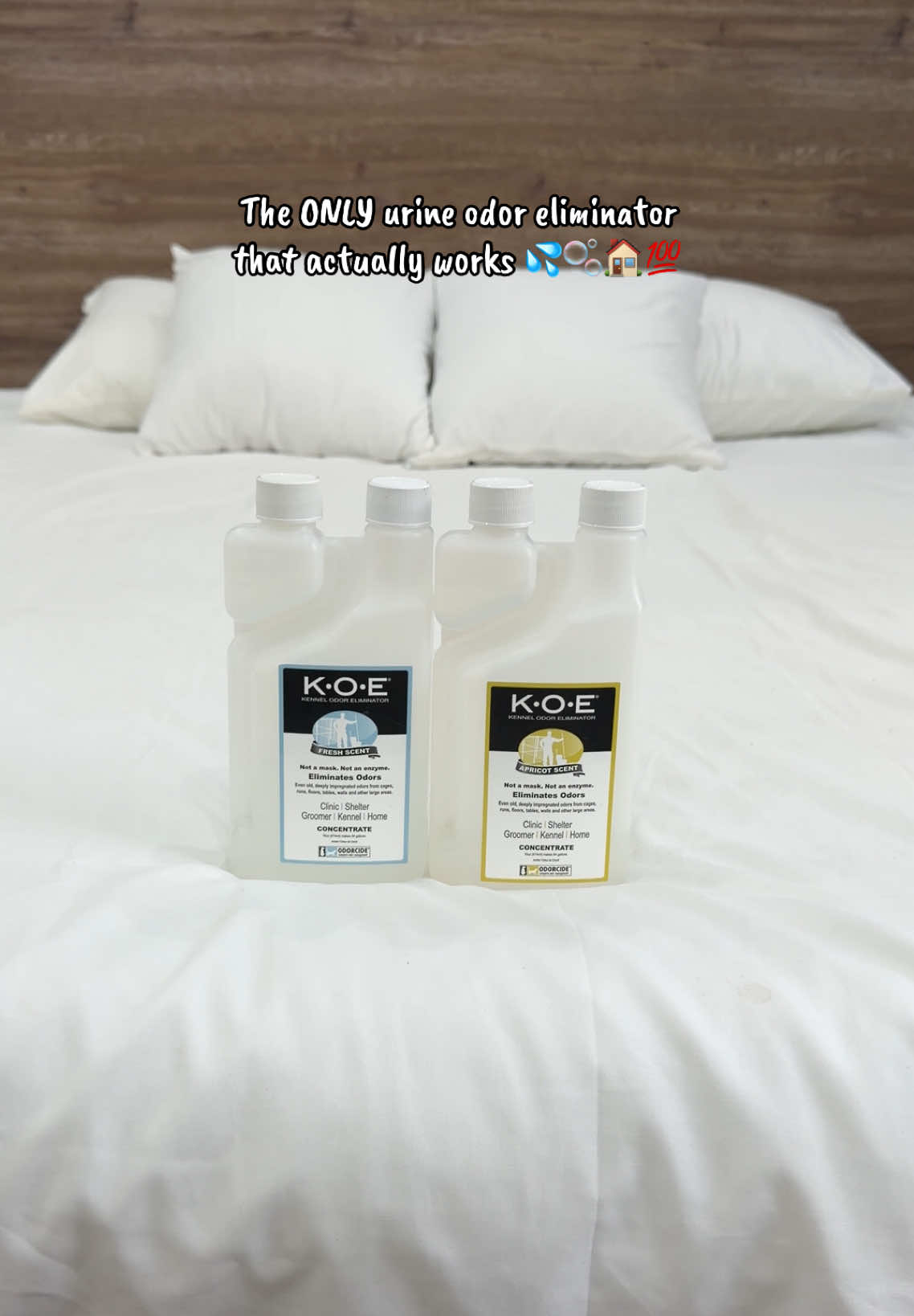 TikTok post by @dubs.monica for Odorcide. Caption reads: [...] of pet odor and is 100% kid/pet safe!....