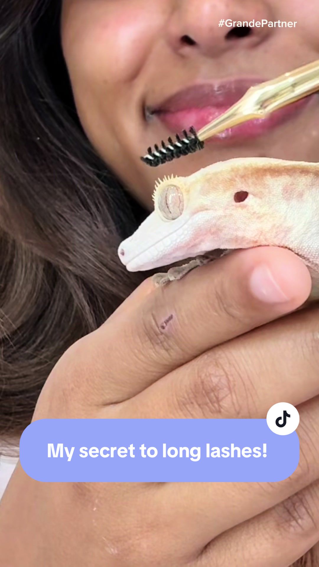 TikTok post by @mypawfectfamily for Grande Cosmetics. Caption reads: Because we’re the ultimate Power Pair 💕 me, my....