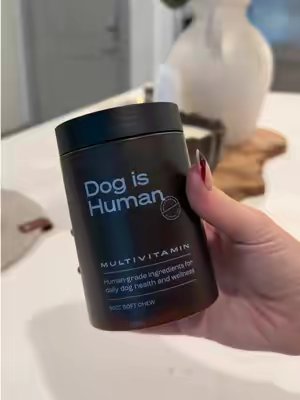 TikTok post by @ashleyhopeterry for Dog Is Human. Caption reads: [...] #routine #dogsoftiktok #ttshop #grwm @Dog is....