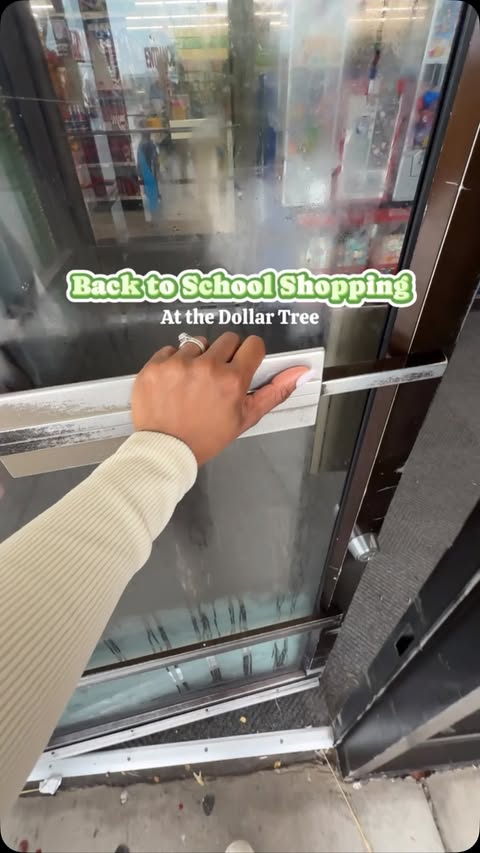 Instagram post by @momlife_of01 for Dollar Tree. Caption reads: #ad Dollar Tree has everything I need to make back....