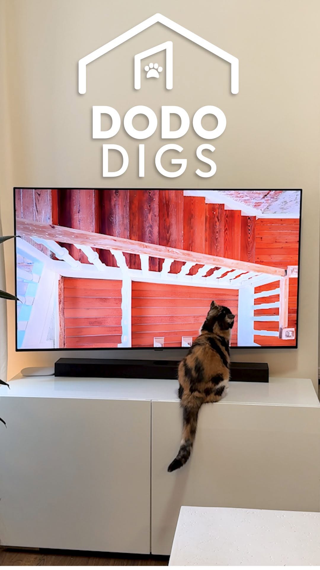 Instagram post by @simonsits for The Dodo. Caption reads: She does this every single time ❤️

We couldn’t....