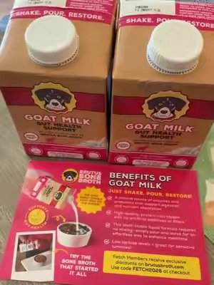 TikTok post by @pntsonfire for Brutus Broth. Caption reads: [...] #healthydogs #dognutrition @Brutus Broth.