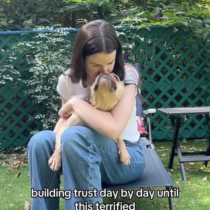 Instagram post by @simonsits for The Farmer's Dog. Caption reads: All of my favorite memories are formed around....