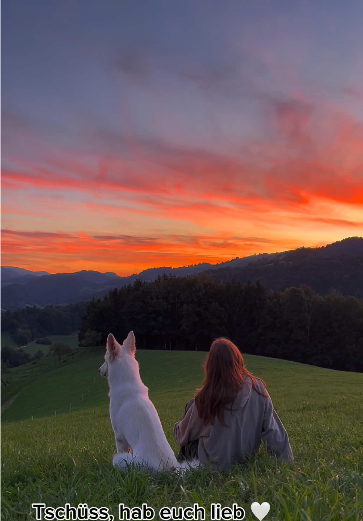 TikTok post by @elena_and_ayla for HOLY. Caption reads: @HOLY Softdrinks *Anzeige* Meine Liebslingssorte....