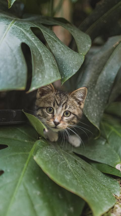 Instagram post by @ethanabitz for Birkenstock. Caption reads: [...] New Year off on the right foot with....