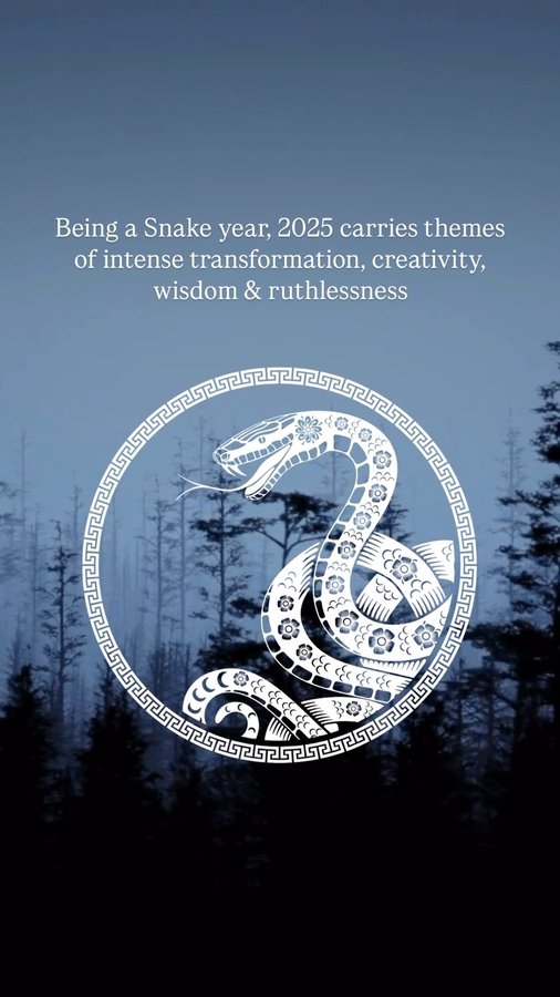 Instagram post by @astrology.with.raquel for Astrology.com. Caption reads: 🖤YEAR OF THE WOOD SNAKE 🐍

Get ready for intense....