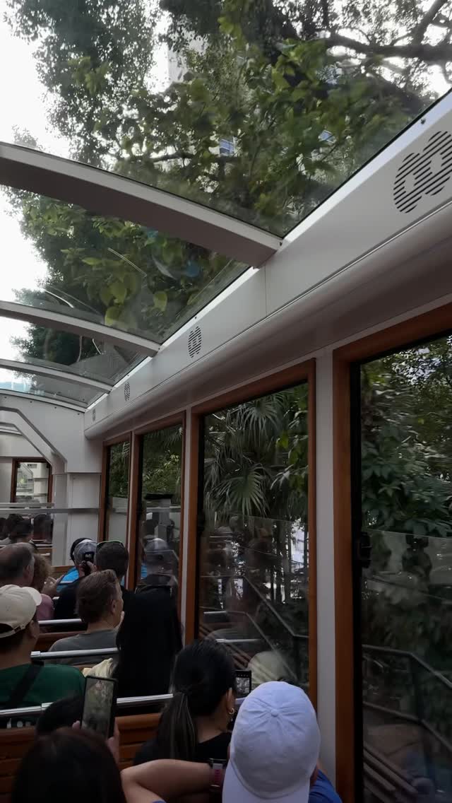 Instagram post by @nikitasibilev for Discover Hong Kong. Caption reads: Моменты Гонконга 🇭🇰 

#discoverhongkong.