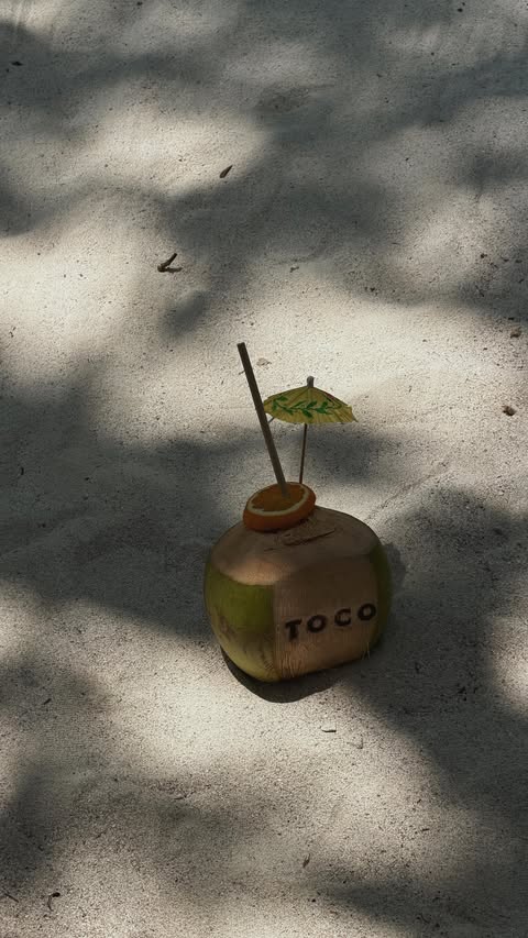 Instagram post by @emilydianephilpott for Toco Swim. Caption reads: [...] plans: dinner on the beach🍸🤎🥥🐚 @tocoswim....