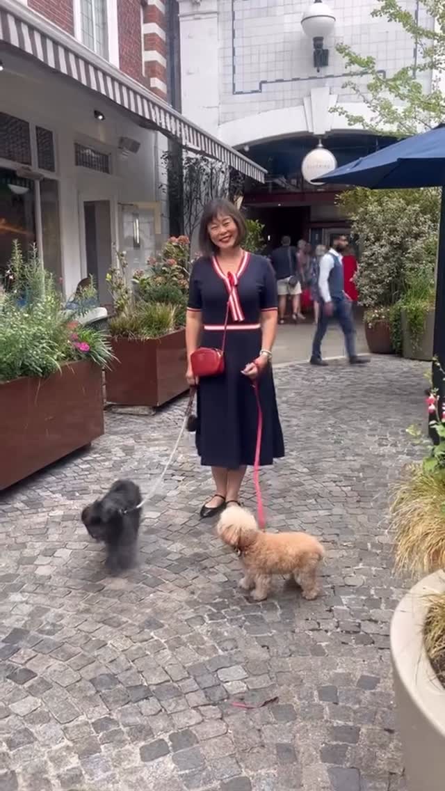 Instagram post by @missdarcysadventures for Pawer Water. Caption reads: [...] Pawtini, created in partnership with....