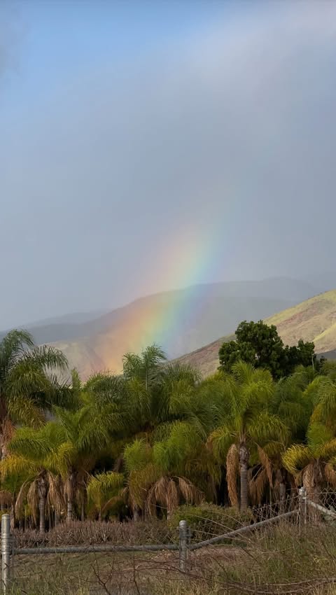 Instagram post by @o_l_i_v_i_a for Andalou Naturals. Caption reads: [...] a blowout LAST!! get your fave....