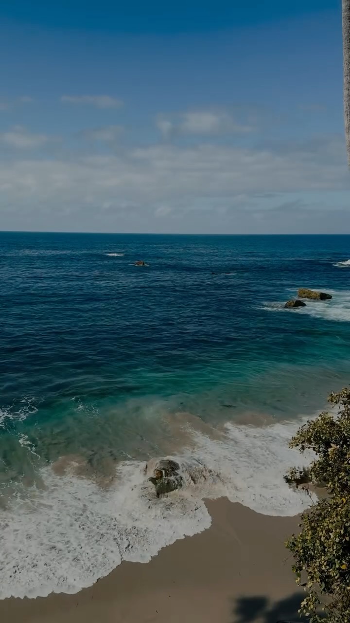 Instagram post by @saramontazami for TAVI. Caption reads: Slow morning in September wearing @taviactive....