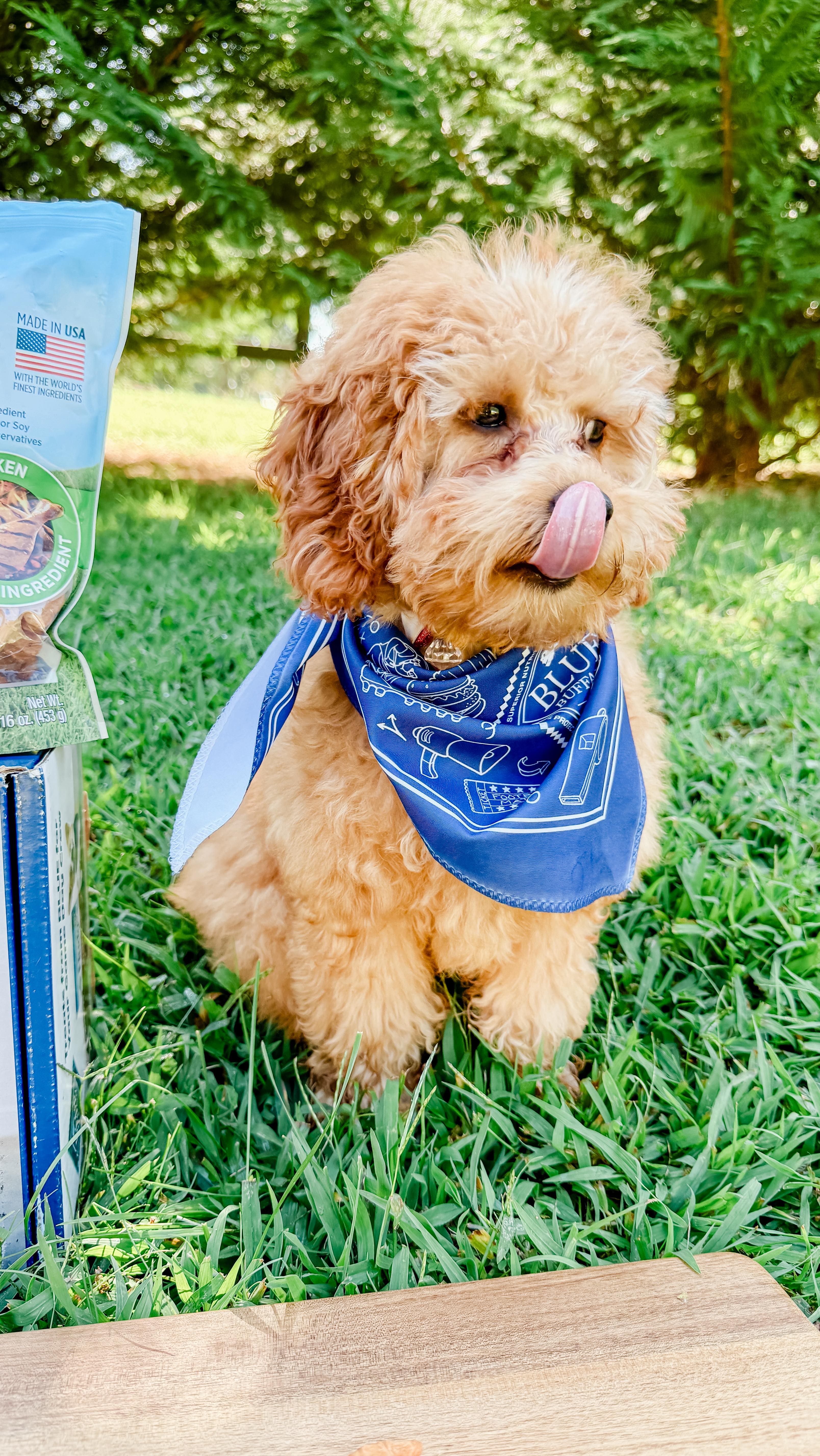 Instagram post by @shelly_and_madisyn for General Mills. Caption reads: Ella is game-day ready with her favorite treats....
