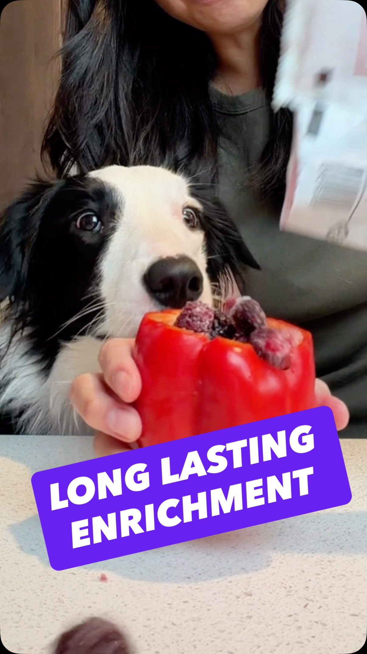 Instagram post by @rachelfusaro for Open Farm Pet. Caption reads: ad PRO-TIP: You can roast the bell peppers first....