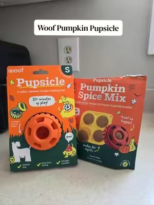 TikTok post by @reggieandfran for Woof Pet. Caption reads: How cute is this pumpkin pupsicle from @Woof Pet!....