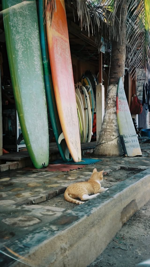 Instagram post by @katrinaa.martin for Babbel. Caption reads: Thank you @babbel, I literally love you 🫶 Link in....