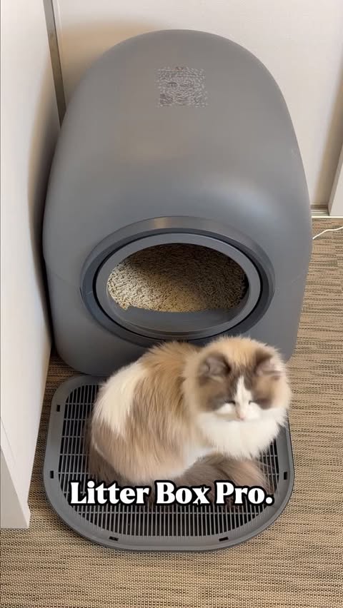 Instagram post by @marioandmofu for Hholove. Caption reads: [...] out the Automatic Litter Box Pro by....